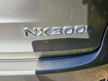 Lexus NX, 2020 — сүрөт 4