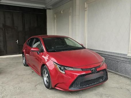 Toyota Corolla, 2019 — фото 1