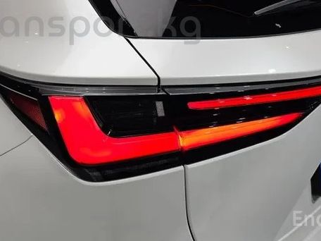 Lexus NX, 2025 — сүрөт 8