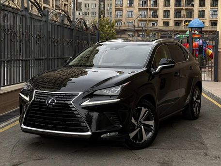 Lexus NX, 2019