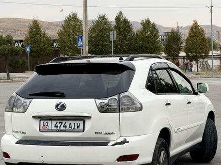 Lexus RX, 2008 — 照片 3