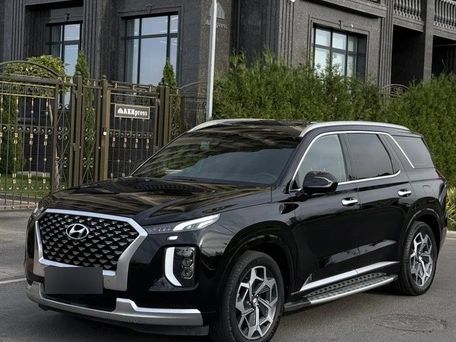 Hyundai Palisade, 2024 — фото 1
