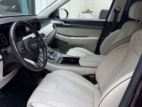 Hyundai Palisade, 2020 — photo 18