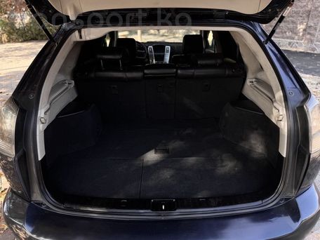 Lexus RX, 2003 — сүрөт 13