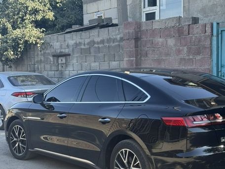 BYD E9, 2021 — photo 7