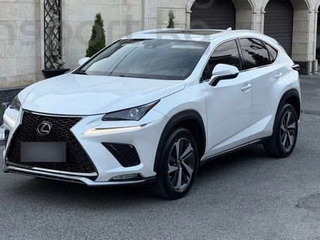Lexus NX, 2021 — фото 1
