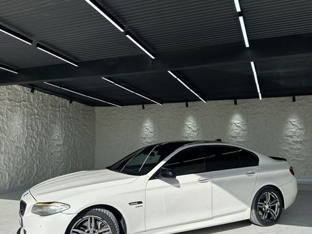 BMW 5 серии, 2010 — 照片 2