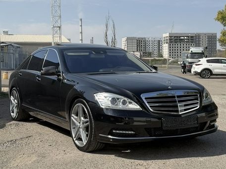 Mercedes-Benz S-Класс, 2010 — фото 6