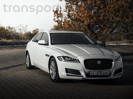 Jaguar XF, 2017 — фото 1