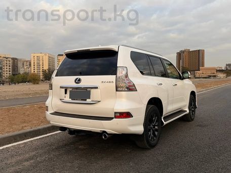 Lexus GX, 2020 — photo 4