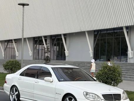 Mercedes-Benz S-Класс AMG, 2004 — фото 1
