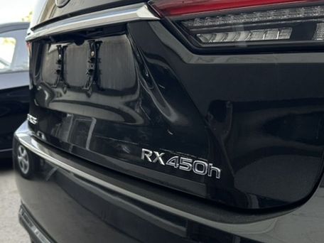 Lexus RX, 2020 — фото 5