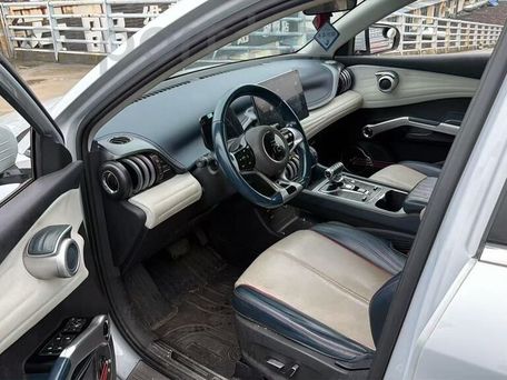BYD Yuan Plus, 2023 — 照片 8