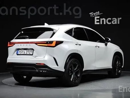 Lexus NX, 2025 — фото 2