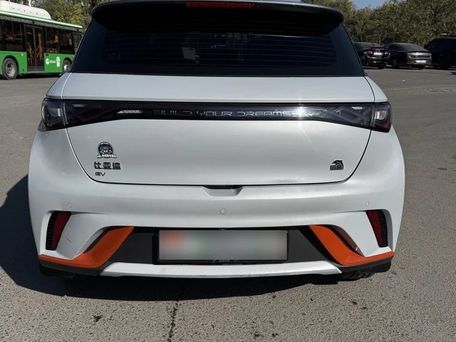 BYD Dolphin, 2022 — photo 2