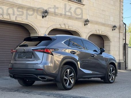 Lexus NX, 2019 — сүрөт 3