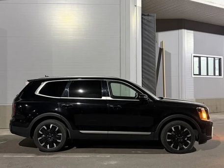 Kia Telluride, 2024 — photo 6