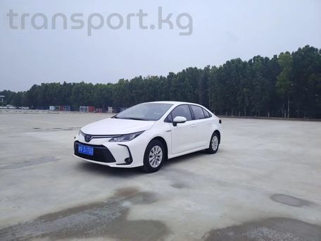 Toyota Corolla, 2021 — 照片 3