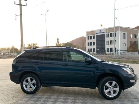 Lexus RX, 2003 — 照片 9