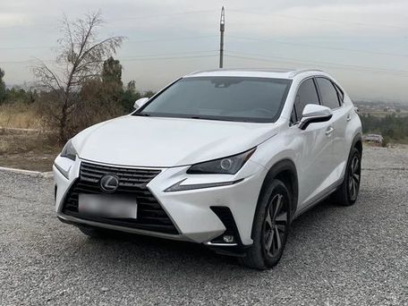 Lexus NX, 2019