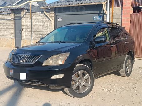 Lexus RX, 2008 — photo 1