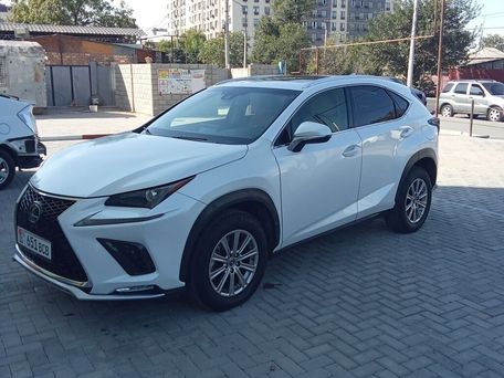 Lexus NX, 2020 — фото 11