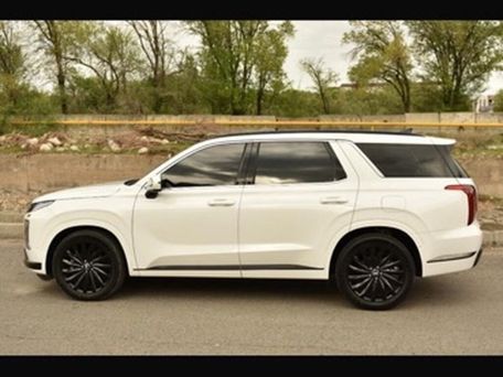 Hyundai Palisade, 2023 — photo 8