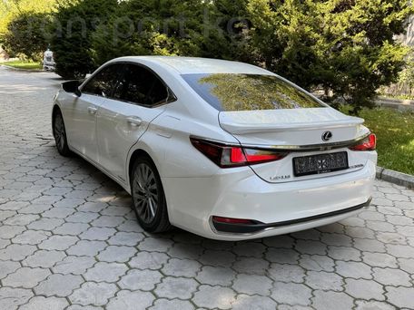 Lexus ES, 2019 — фото 4