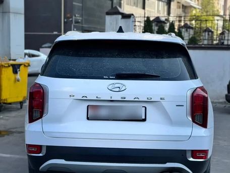 Hyundai Palisade, 2020 — photo 11