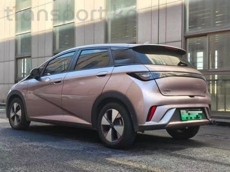 BYD Dolphin, 2021 — 照片 4