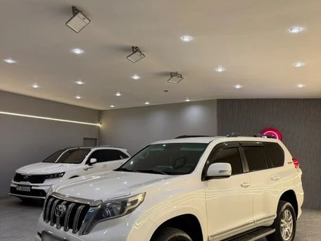 Toyota Land Cruiser Prado, 2011 — сүрөт 7
