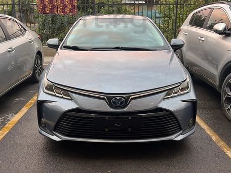 Toyota Corolla, 2021 — сүрөт 1