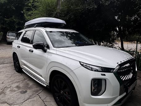 Hyundai Palisade, 2019 — сүрөт 7
