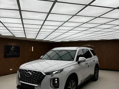 Hyundai Palisade, 2021 — photo 1