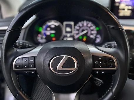 Lexus RX, 2018 — фото 12