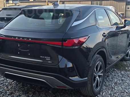 Lexus RX, 2026 — 照片 2