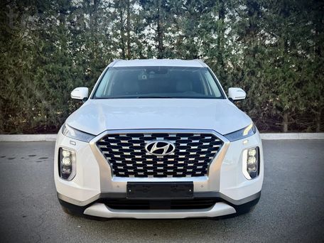Hyundai Palisade, 2021 — photo 2