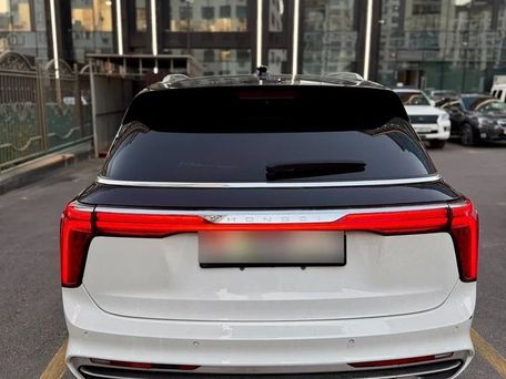 Hongqi E-HS9, 2022 — фото 4