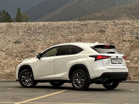 Lexus NX, 2018 — фото 2
