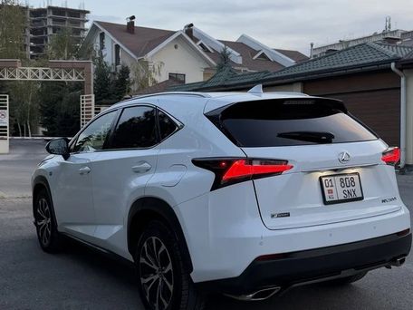 Lexus NX, 2017 — 照片 11