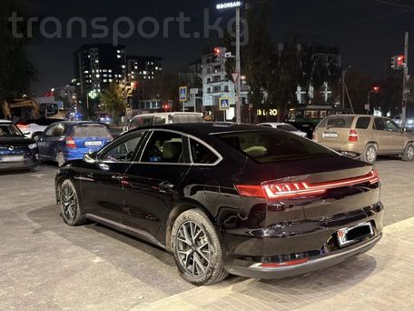 BYD E9, 2021 — photo 5