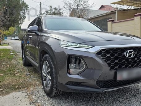Hyundai Santa Fe, 2019 — photo 2