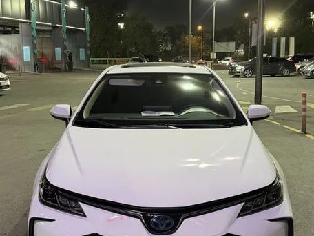 Toyota Corolla, 2019 — фото 1