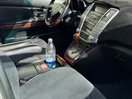 Lexus RX, 2008 — photo 8