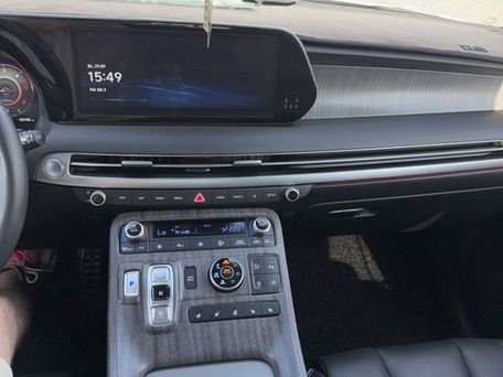 Hyundai Palisade, 2023 — photo 10