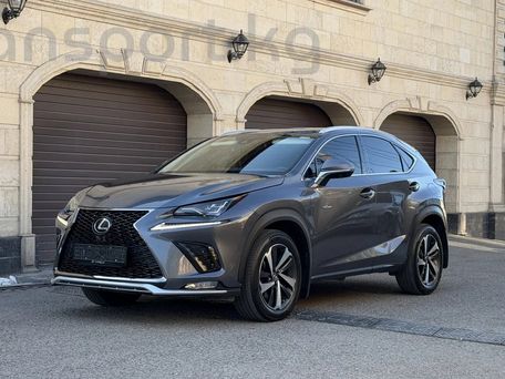 Lexus NX, 2019 — сүрөт 2