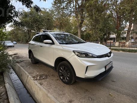 Weltmeister EX5, 2020