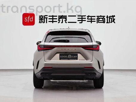 Lexus NX, 2022 — фото 5