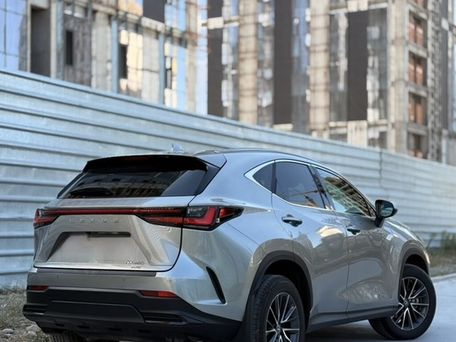 Lexus NX, 2023 — фото 7