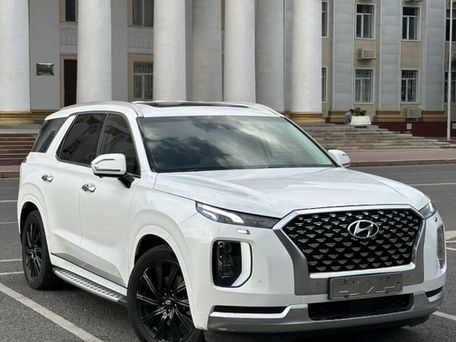 Hyundai Palisade, 2021 — photo 2